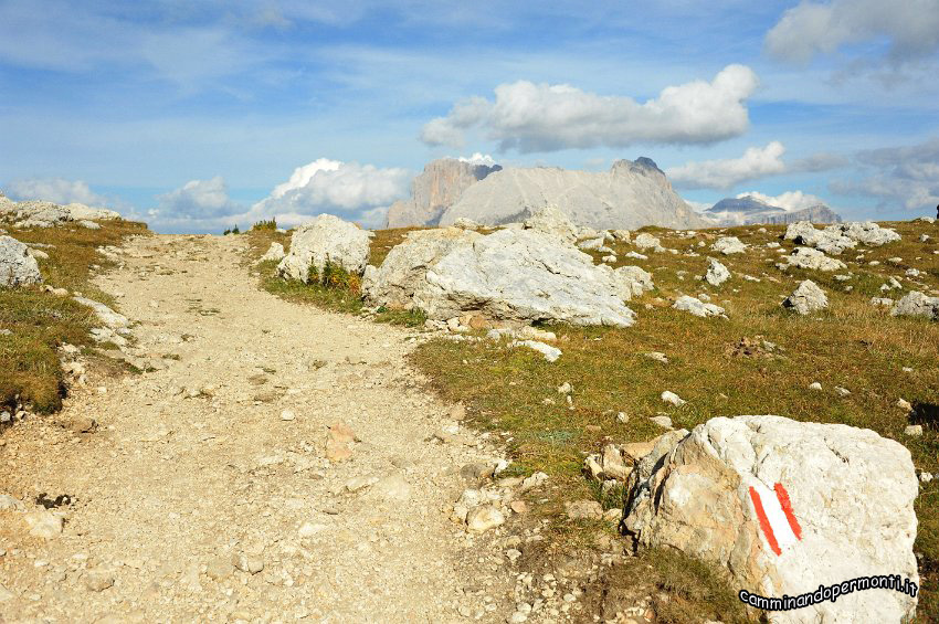 140 Sullo sfondo il Sasso Piatto e Sasso Lungo.JPG